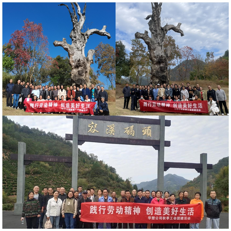 1667801816761012.png 图片2_副本.png